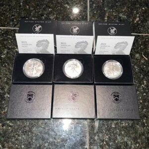 AJC[O 2021 (W) 1IX ʋ (21EGN) - 3Zbg