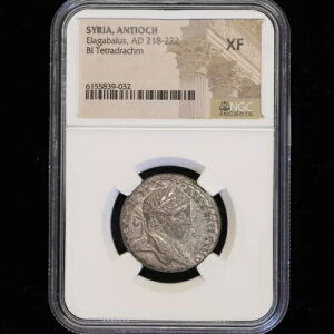 AeBILAEGKoX I218-222N 2 eghN}  XF NGCF