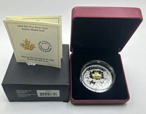 2018N 30h  - S[f[v[t