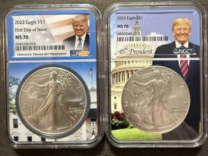 2022N2023N 1h݃AJC[O NGC MS70 gvRA [|bvgbv iCXA