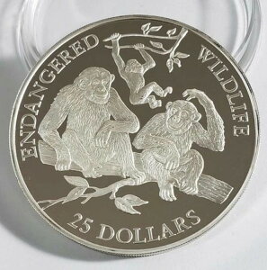 25h `pW[ 1996N NbN 5IX  v[t