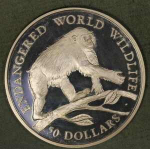 NbN 1990N 50h `pW[ Ŋ뜜 E̖쐶