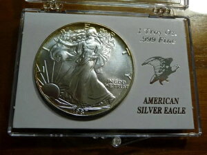 1987年 1オンス アメリカンシルバーイーグル ハードケース入り 魅力的なボーダートーニング SKU# 30852
