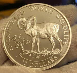 NbN 1990N ~ 50h rbOz[V[v Ŋ뜜 E̖쐶