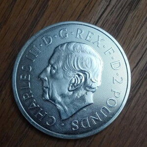 (1) 2023N CMX_bƓ` }[}WbN 1IX .999 Vo[RC