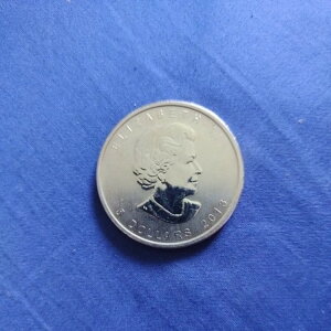 2013NJi_ .999  1IX vOz[Ae[v GUxX 5hd