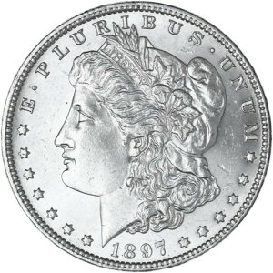 1897�N�iP�j�����K���E�_���[ BU �ʐ^�Q�� R231