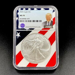 2025N 1h AJ Vo[ C[O gv x tbO RA NGC MS70