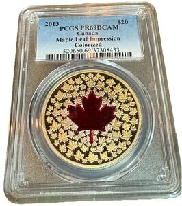 2013N Vo[ [v[t CvbV bhGi PCGS PR69 DCAM f炵F