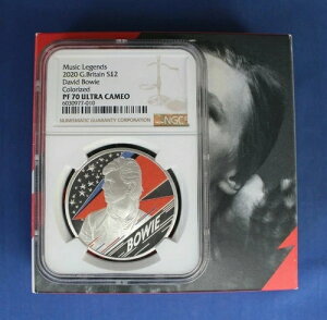 2020N 1IX Vo[ v[t 2|h RCuyẼWFh - fBbhE{ECvNGC O[h PF70