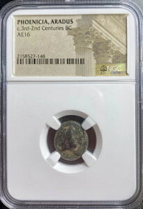 ÑtFjLA RC 174BC-141BC NGC AhDXs [EX K[D { A