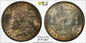 1902年 モーガン銀貨 1ドル *PCGS MS63 ゴールドシールド* 素晴らしい銅の色合い!