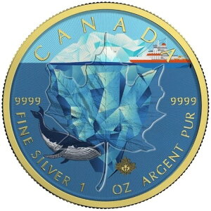 ACXo[OJ[̃JifBA[v[t2017NbL1IXVo[RC/EDI