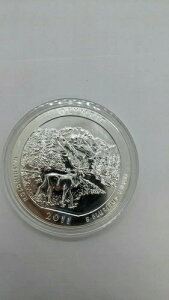 2011N 5IX AJEUEr[eB[ IsbNAVgB - JvZ