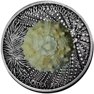 1000�t�����A�E�j�� - �i���̐��E 1�I���X ���