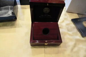 2009Nčǒ_uC[Oݗpi󔠂̂݁j