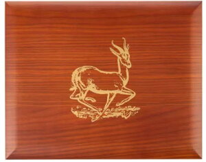 RC{bNX / P[X / N[K[h݁Eݗp