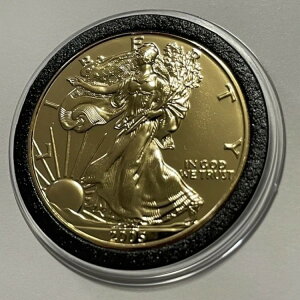 2005N ASE 24bL AJC[ORC 1gCIX .999 t@CVo[ Eh