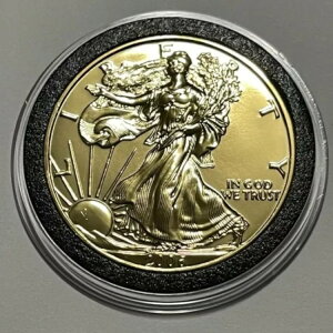 2006N ASE 24bL AJC[ORC 1gCIX .999 t@CVo[ Eh