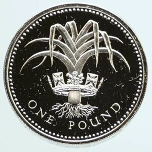 1985N CMX GUxX2 [N I[h v[t Vo[ sGtH[g |h RC i96652