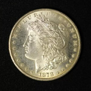 1878-S 1�h�� �����K����� �v���[�t �V�i - �č���������