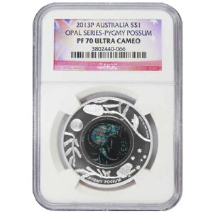 2013-P I[XgA 1h Ip[V[Y - sO~[|bT NGC PF70UC x