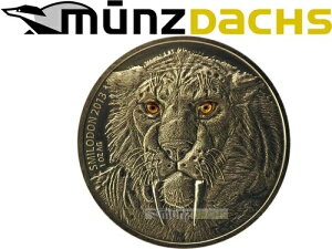 1000t T[x T[x gD[X ^CK[ uLit@\ 2013 1IX .999 