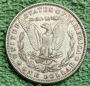 1882N [K *** ʏԂ̗ǍDȃRC - ʐ^I #6051