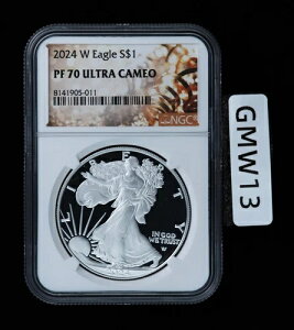 2024 W v[t Vo[ C[O NGC PF70 EgJI XyVx