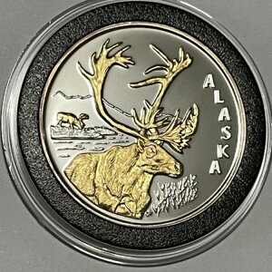 AXJ GN 24 bL 󏭃v[tRC 1gCIX .999 ⃉Eh