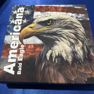 2024�N �A�����J�[�i �n�N�g�E���V 2�I���X AG Cst �o�[ + �����̃g�����s�l�[�^�[ �{�u���w�b�h ����