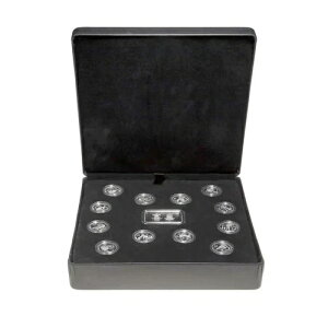 oN[o[2010IsbN ݗʃZbg X^[OVo[ EGn[X