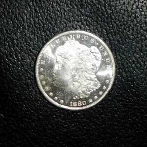 1880N S [K Vo[h ~gXe[g DMPL fB[v~[ v[tCNRC BU zCg