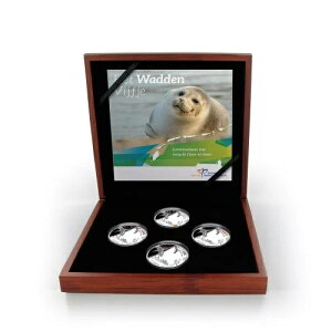 ���b�f���C�R�C���J���[�Z�b�g�i4x5���[���j�I�����_�V���o�[�v���[�t20���[��2016�N�ȍ~