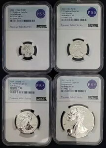 2023NtBW[T-1tNVio[Xv[tVo[C[OZbgNGC Rev PF70