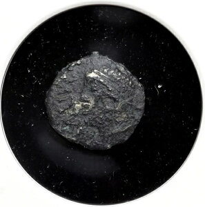 Pg̃ueBMjEAgoeXBeBR}X IO25N-I10N ݁ANGC VG
