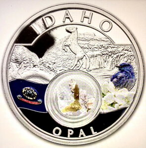 AC_zIp[ #/500 J[CY 1IX Vo[ COA {bNX AJ̕ ΂̏B