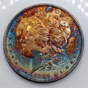 1889�N 1�h�� �����K����� ??�����X�^�[�g�i�[??