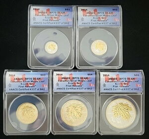 2014 RCM �J�i�_���[�v�����o�[�X�v���[�t�����Z�b�g ANACS RP70 | ���ŋ���