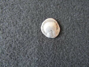 󏭂ȃVo[ NOMOS Lucania / Thourioi IO 425-400 N