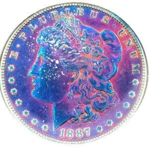1887�N P �����K�� �V���o�[ �_���[ �����ȃ����X�^�[�g�[�� �u���[�x���[