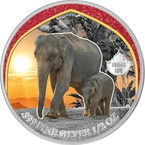 2024�N �J�����[�� �C���h�]�E �V���o�[�J���[�R�C�� �쐶���� WWF 500�t���� ��