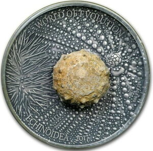 2017�N�u���L�i�t�@�\ ���[���h�E�I�u�E�G�{�����[�V���� ECHINOIDEA �A���e�B�[�N�d�グ 1�I���X �V���o�[�R�C���B