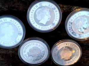 bgi5jI[XgA1h݃Eh - CJZ~AtNEAJK[ 2014A16A17A19