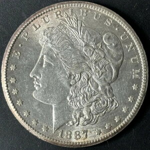 1887-S 1�h�������K���E�_���[ - ������ - �ʐ^��������������