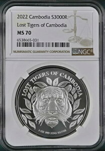 �J���{�W�A�A�� 3000 ���G�� 2022 - ���X�g�^�C�K�[ - NGC MS 70�A��