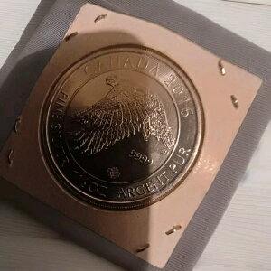 2016N Ji_ p GUxX2 Xm[EB[ WCAR 1 1/2IX 8h