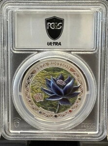 2024 PCGS Eg PR 70 DCAM x[^ ubN [^X 1IX Vo[ }WbN U MUO J[