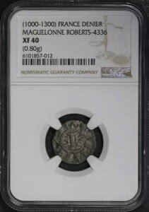 (1000-1300) �t�����X �}�O���k��� �f�j�[�� ���o�[�c-4336 (0.80g) NGC XF-40