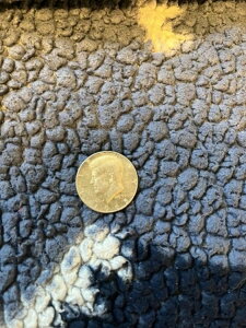 1965N 50Zg PlfB n[t_[